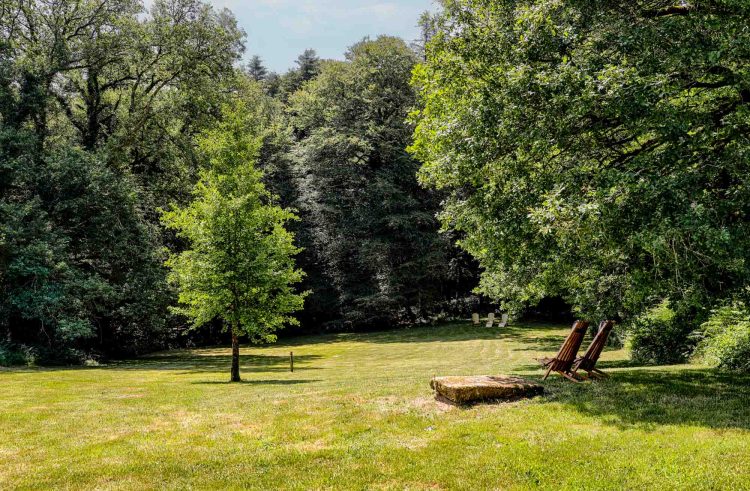 Forêt en été en Bretagne, ombre et fraîcheur naturelle