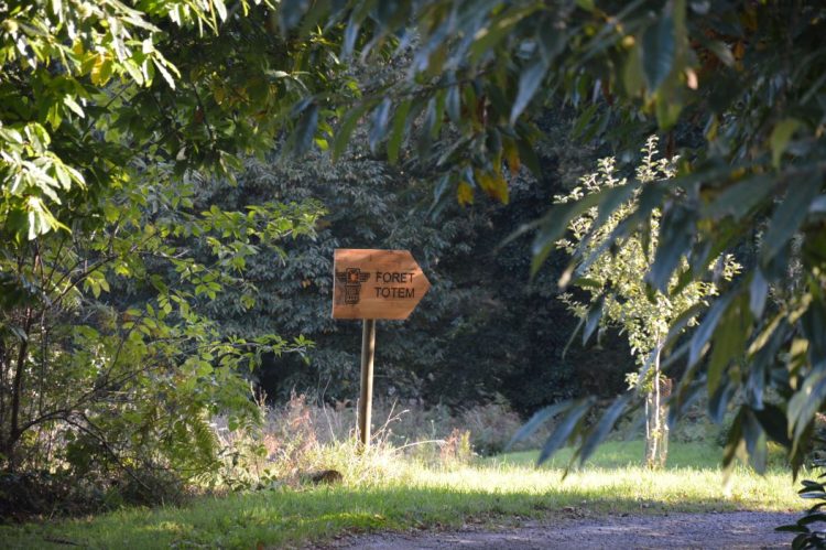 Un séjour Nature différent en Bretagne en famille en été