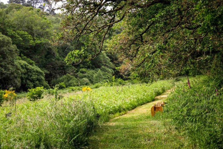 Séjour slow tourisme en forêt en Bretagne