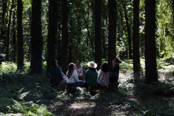 Séminaire au calme en forêt en Centre Bretagne, propice à la concentration