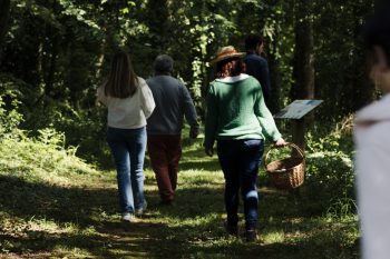 Marche consciente en forêt lors d’un séminaire nature en Bretagne