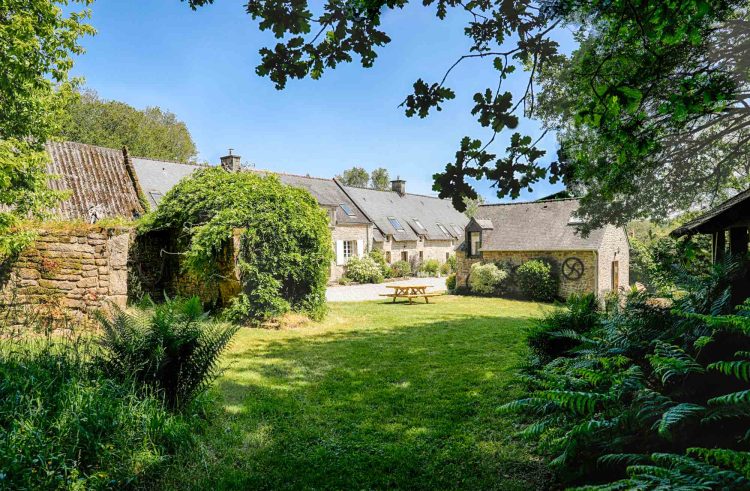 Séjour de silence en forêt