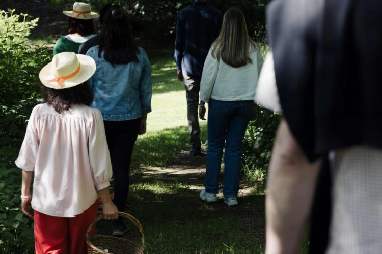 Marche consciente en forêt en Bretagne